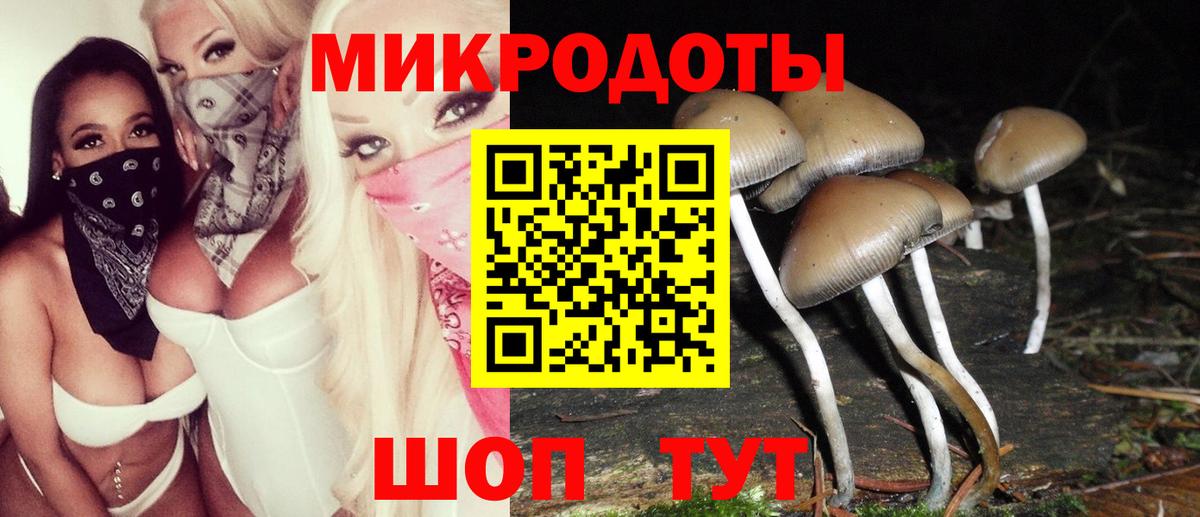 Псилоцибиновые грибы Magic Shrooms  Вход с VPN  купить наркоту  Ногинск 