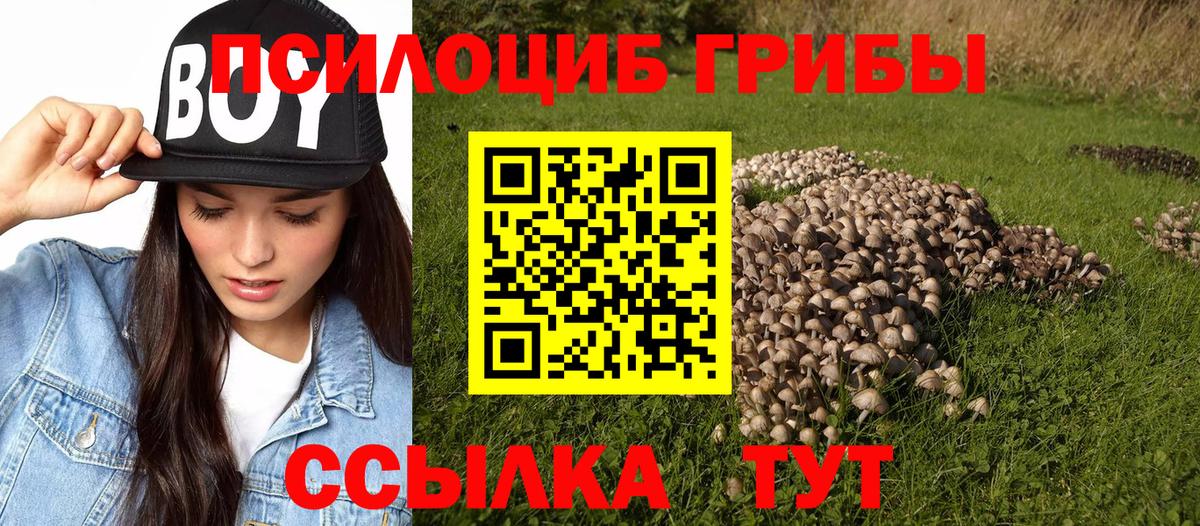 Псилоцибиновые грибы MAGIC MUSHROOMS Ногинск